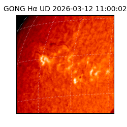 gong - 2026-03-12T11:00:02