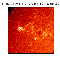 gong - 2026-03-12T14:00:42