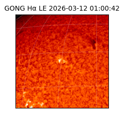 gong - 2026-03-12T01:00:42