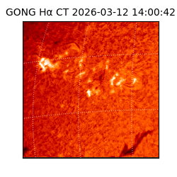 gong - 2026-03-12T14:00:42