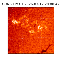 gong - 2026-03-12T20:00:42