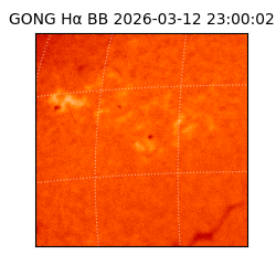 gong - 2026-03-12T23:00:02