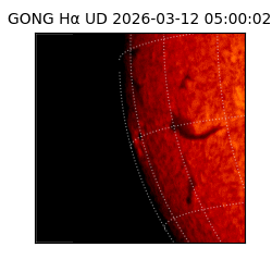 gong - 2026-03-12T05:00:02