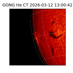 gong - 2026-03-12T13:00:42