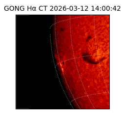 gong - 2026-03-12T14:00:42