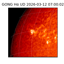 gong - 2026-03-12T07:00:02