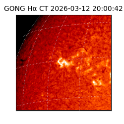 gong - 2026-03-12T20:00:42