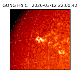 gong - 2026-03-12T22:00:42