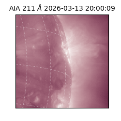 saia - 2026-03-13T20:00:09.622000