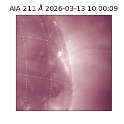 saia - 2026-03-13T10:00:09.624000