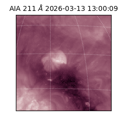 saia - 2026-03-13T13:00:09.631000