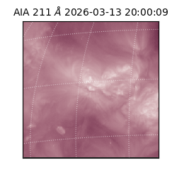 saia - 2026-03-13T20:00:09.622000