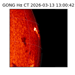 gong - 2026-03-13T13:00:42