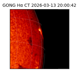 gong - 2026-03-13T20:00:42