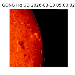 gong - 2026-03-13T05:00:02