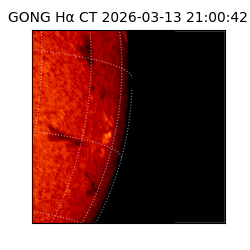 gong - 2026-03-13T21:00:42