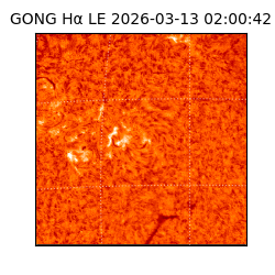 gong - 2026-03-13T02:00:42