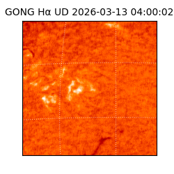 gong - 2026-03-13T04:00:02