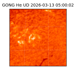 gong - 2026-03-13T05:00:02