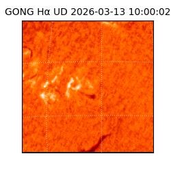 gong - 2026-03-13T10:00:02