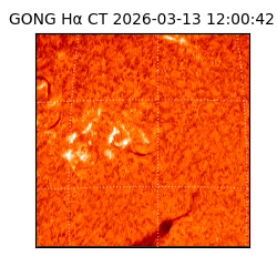 gong - 2026-03-13T12:00:42