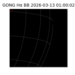 gong - 2026-03-13T01:00:02