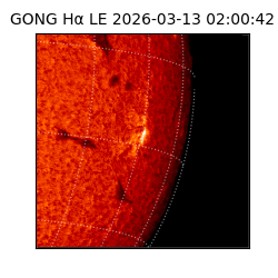 gong - 2026-03-13T02:00:42