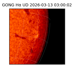 gong - 2026-03-13T03:00:02