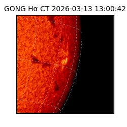 gong - 2026-03-13T13:00:42