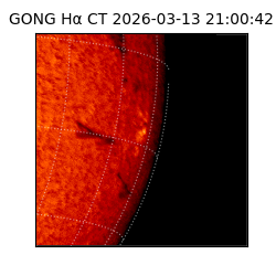 gong - 2026-03-13T21:00:42