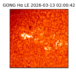 gong - 2026-03-13T02:00:42