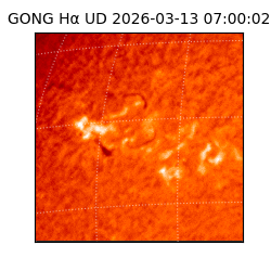 gong - 2026-03-13T07:00:02