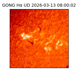 gong - 2026-03-13T08:00:02