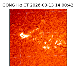 gong - 2026-03-13T14:00:42