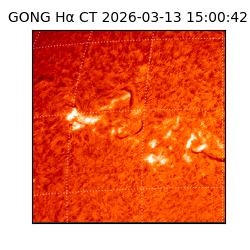 gong - 2026-03-13T15:00:42