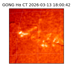 gong - 2026-03-13T18:00:42