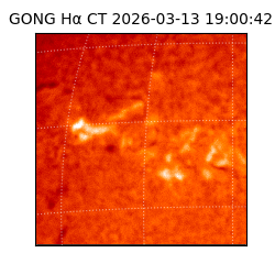 gong - 2026-03-13T19:00:42