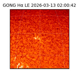 gong - 2026-03-13T02:00:42