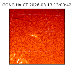 gong - 2026-03-13T13:00:42