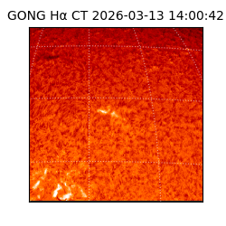 gong - 2026-03-13T14:00:42