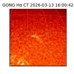 gong - 2026-03-13T16:00:42