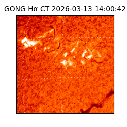 gong - 2026-03-13T14:00:42