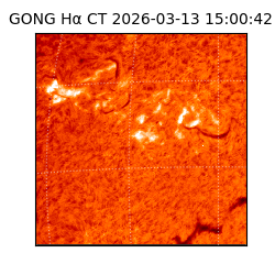 gong - 2026-03-13T15:00:42