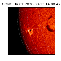 gong - 2026-03-13T14:00:42