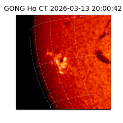 gong - 2026-03-13T20:00:42