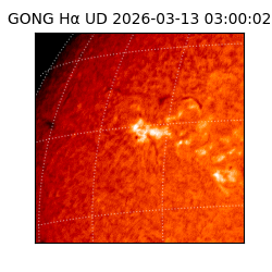 gong - 2026-03-13T03:00:02