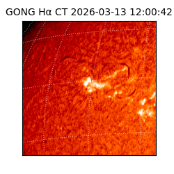 gong - 2026-03-13T12:00:42