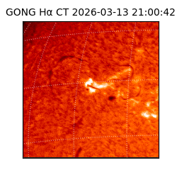 gong - 2026-03-13T21:00:42