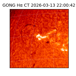 gong - 2026-03-13T22:00:42