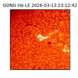 gong - 2026-03-13T23:12:42